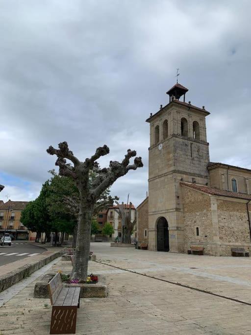 Alojamiento Fiordos Leoneses Bonar Buitenkant foto
