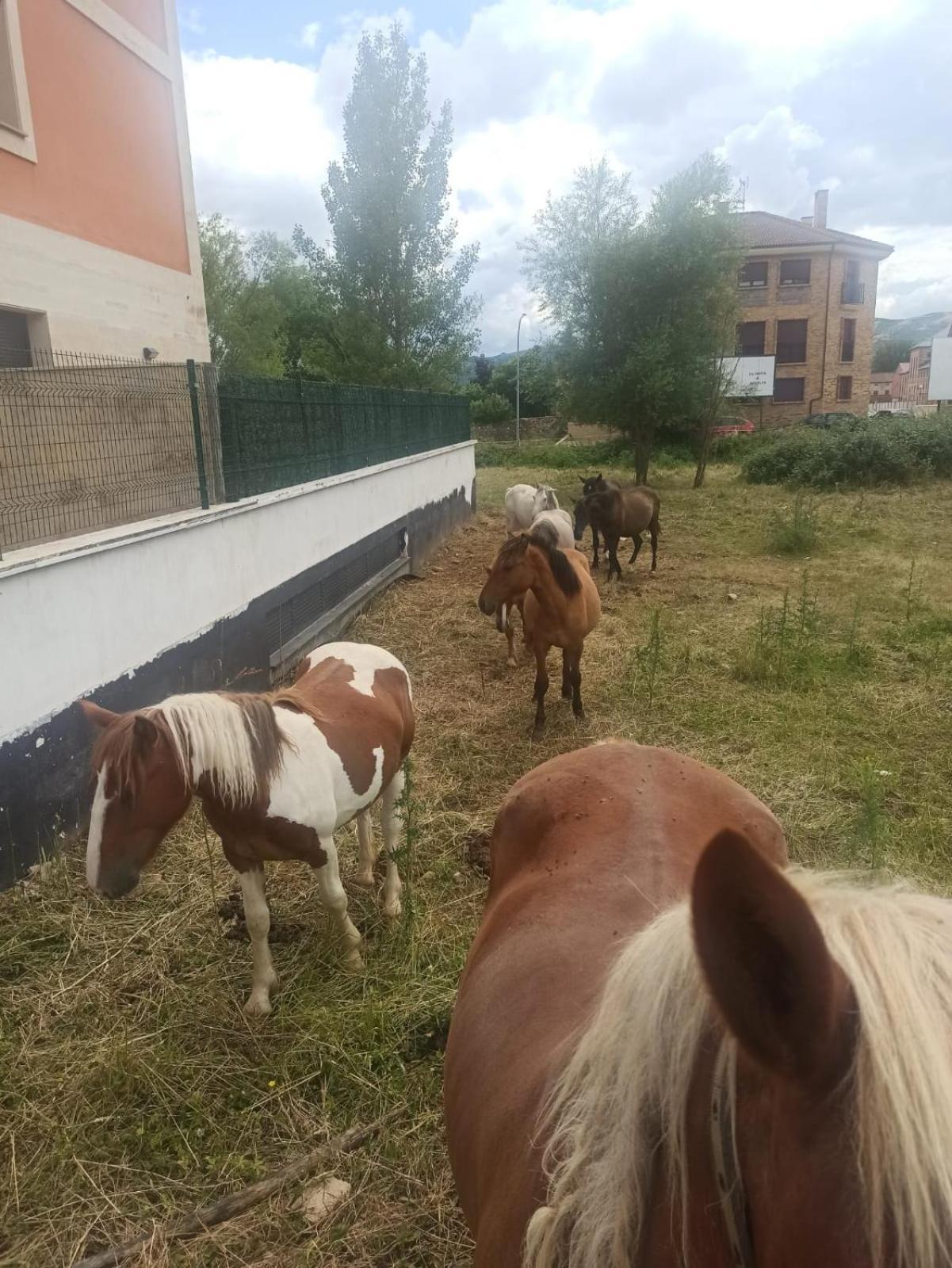 Alojamiento Fiordos Leoneses Bonar Buitenkant foto